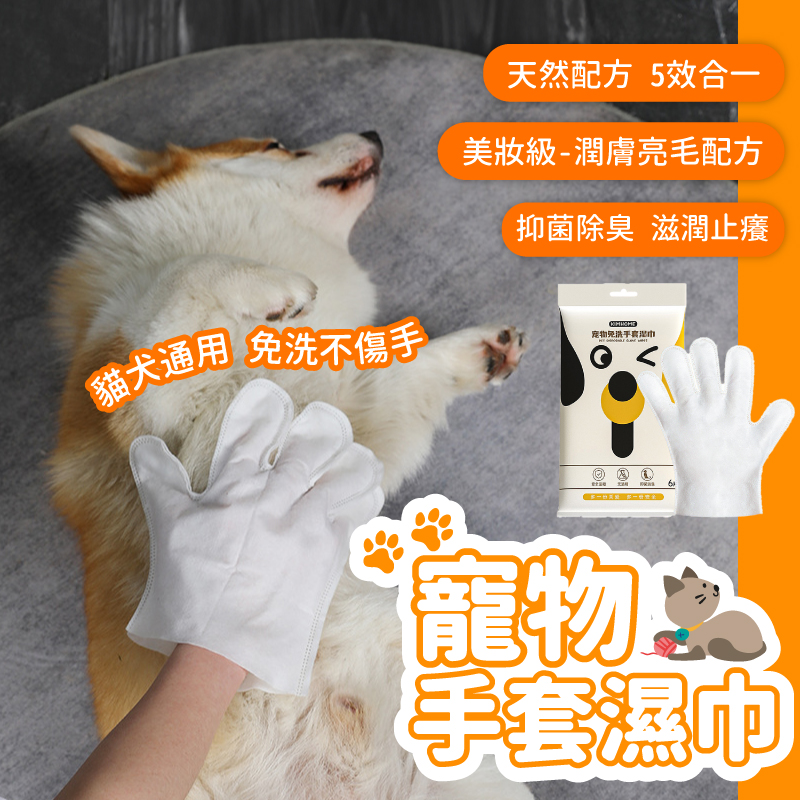 寵物清潔手套3組 一組6入 寵物清潔手套 寵物擦澡手套 寵物外出