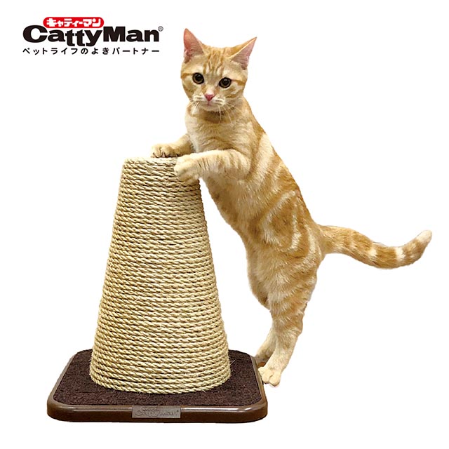 CattyMan 貓抓抓遊戲麻繩三角錐