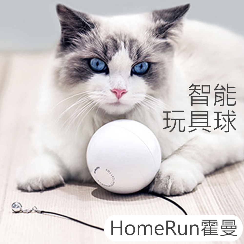 HomeRun霍曼智能玩具球