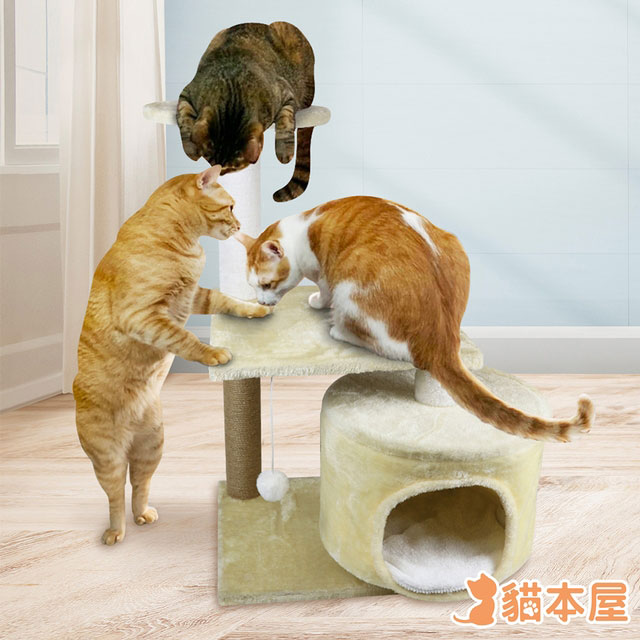 貓本屋 磨爪/玩樂/貓窩 三層貓爬架/貓跳台-米白色