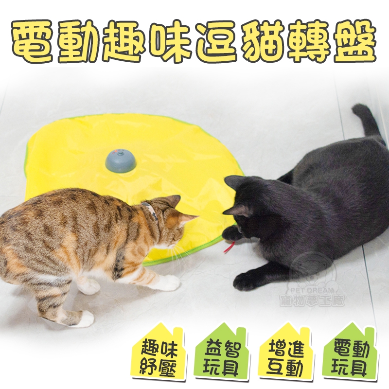 【PET DREAM】電動趣味逗貓轉盤 益智轉盤 益智玩具 逗貓玩具 逗貓轉盤 貓玩具 寵物玩具 寵物電動轉盤