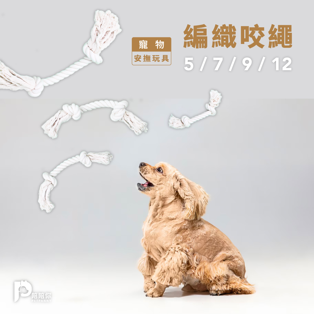 【PETPANNY 陪陪你】寵物互動玩具 | 編織咬繩5