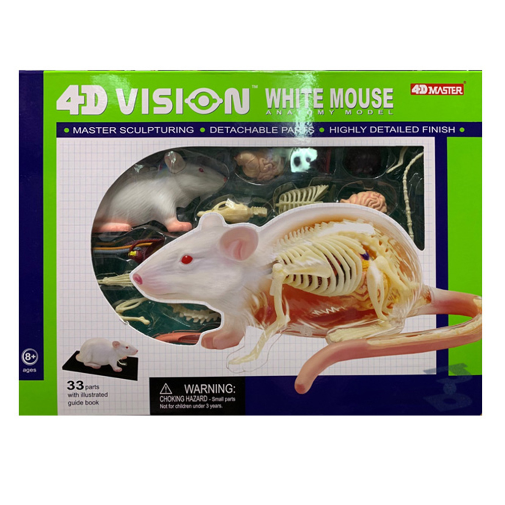 【4D Master】26002 立體拼組模型 半透視 白老鼠
