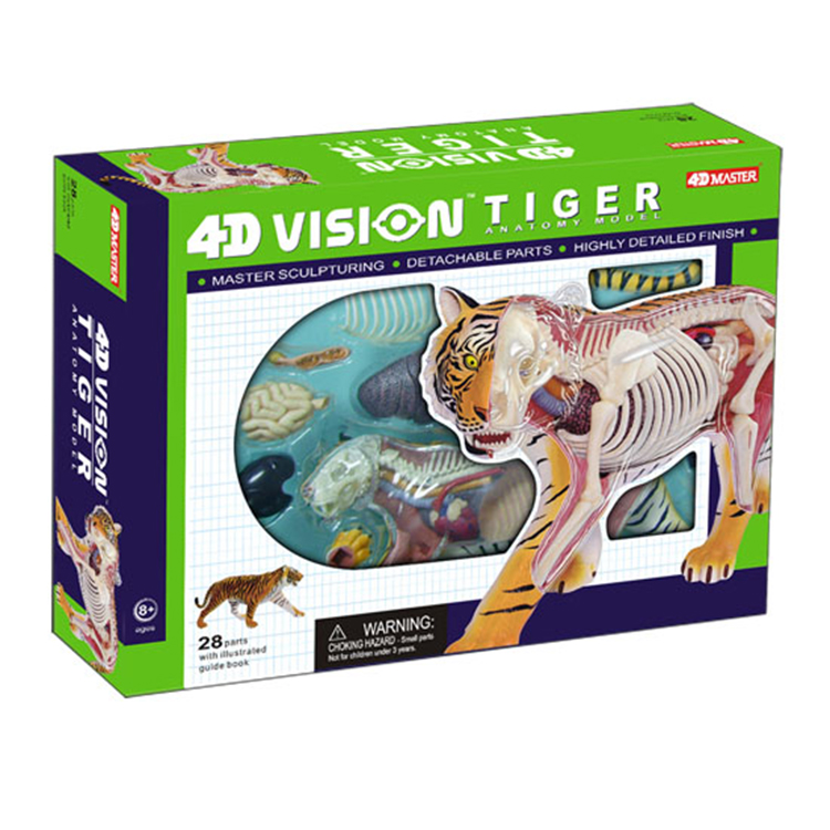 【4D Master】26105 立體拼組模型 動物解剖 半透視 老虎