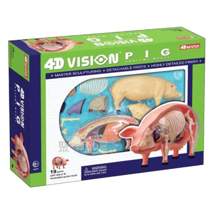 【4D Master】26102 立體拼組模型 動物解剖 半透視 豬
