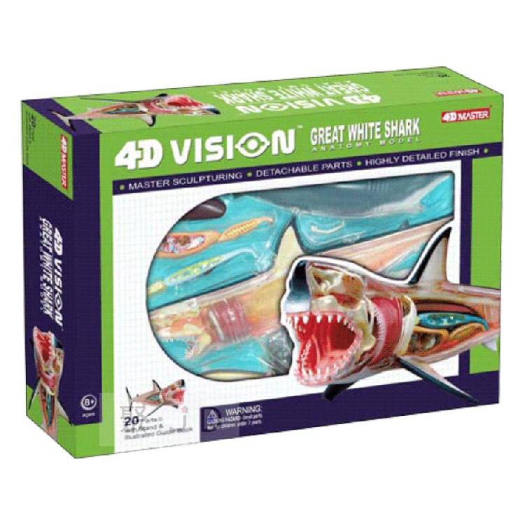 【4D Master】26111 立體拼組模型 半透視 大白鯊