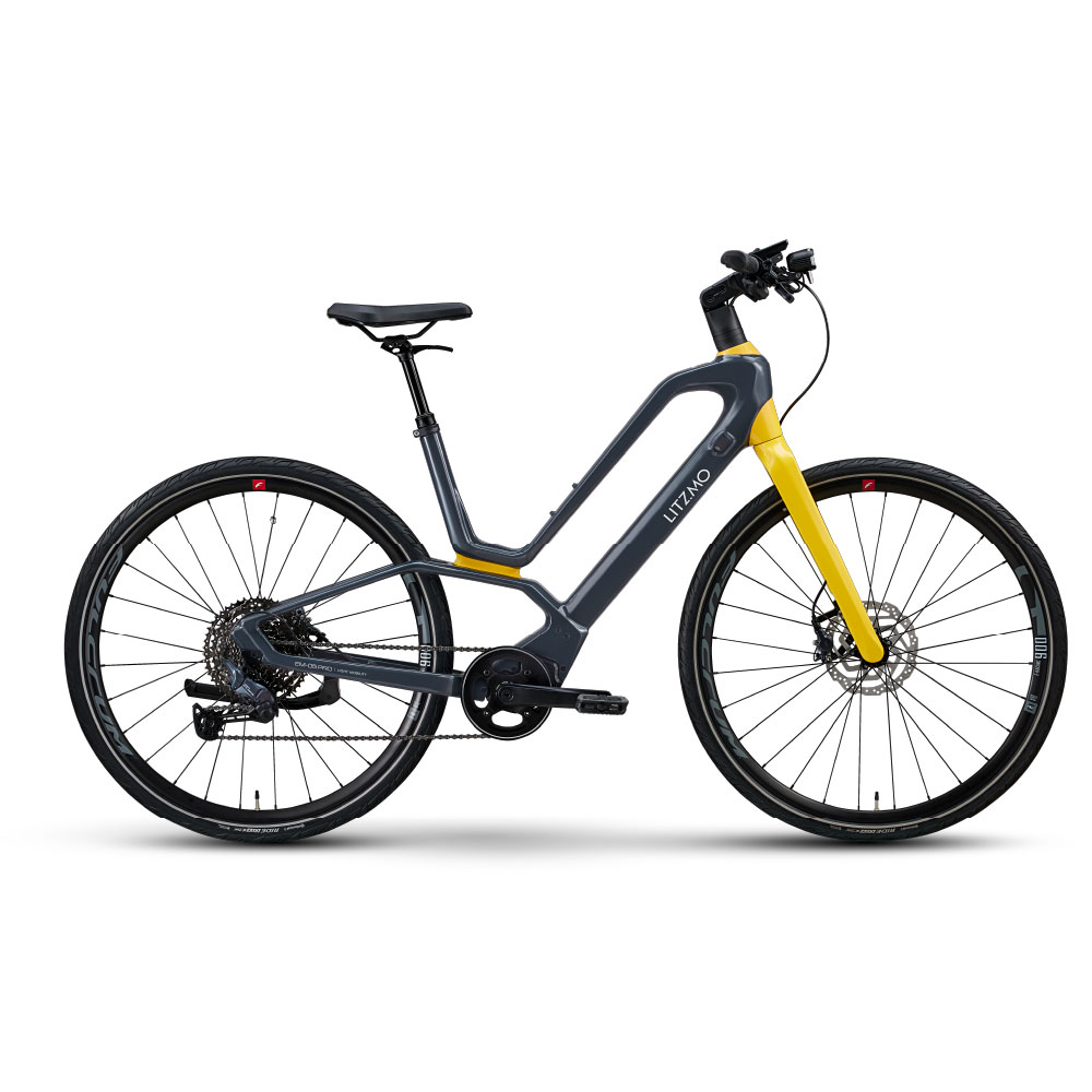 Litzmo 碳纖維電動輔助自行車 (EM-05 PRO)