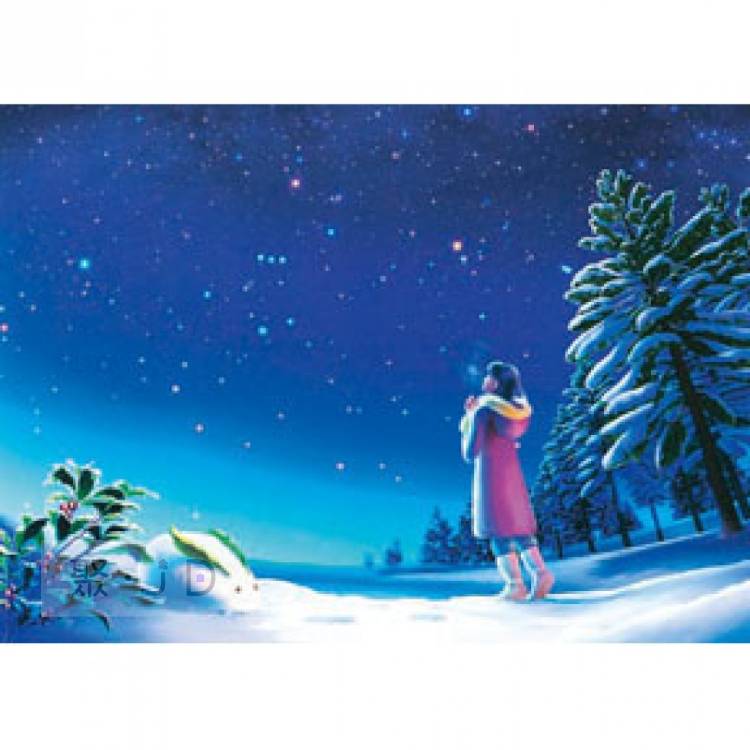 【台製拼圖】KAGAYA 星天日和 - HM520-096 冬-雪夜景 (夜光) 520片拼圖
