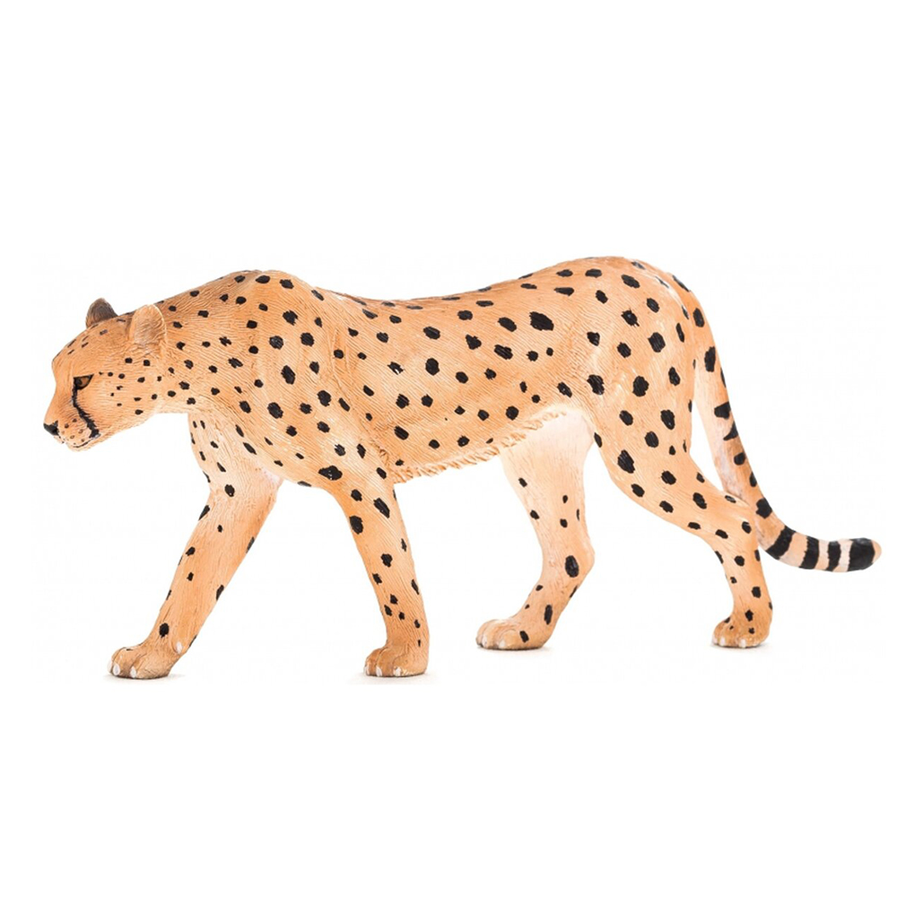 【Mojo Fun 動物星球】387197野生動物-獵豹