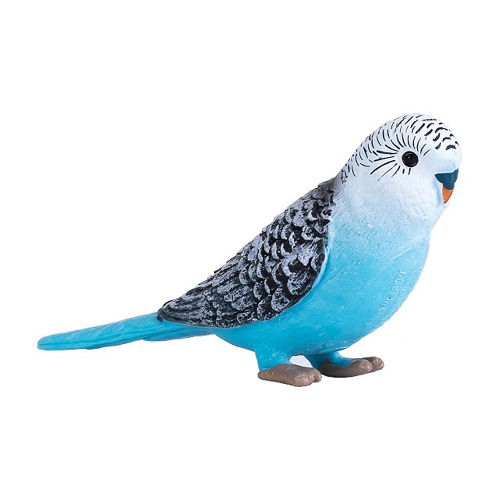 【Mojo Fun 動物星球】387292鳥類-長尾鸚鵡-藍