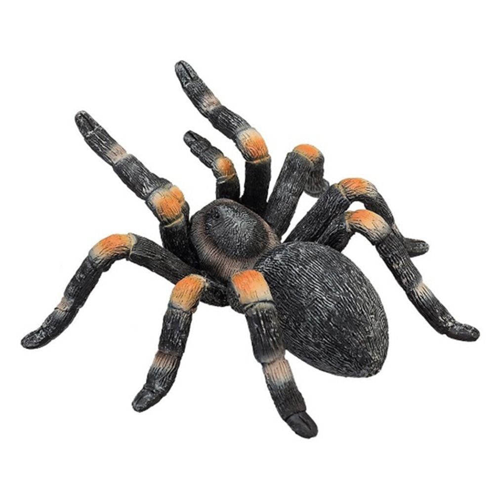【Mojo Fun 動物星球】387213爬蟲類-紅膝蜘蛛