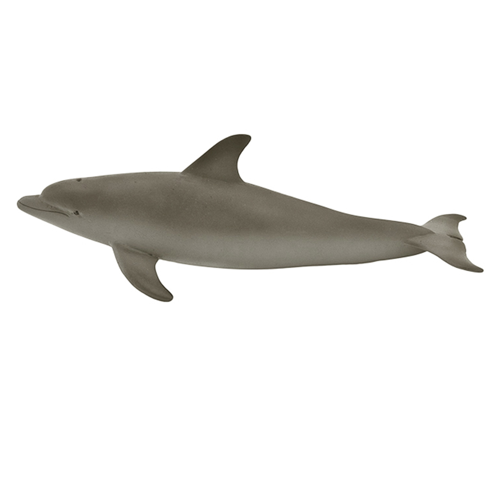 【Mojo Fun 動物星球】海洋生物-海豚 387118