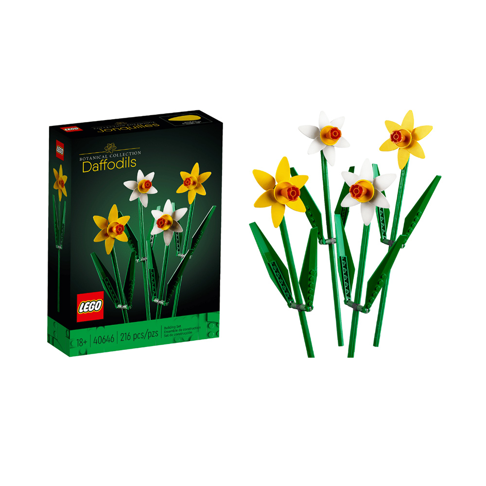 樂高 LEGO 積木 CREATOR系列 水仙花40646w