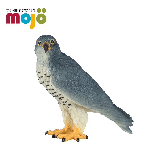 Mojo Fun動物模型-遊隼