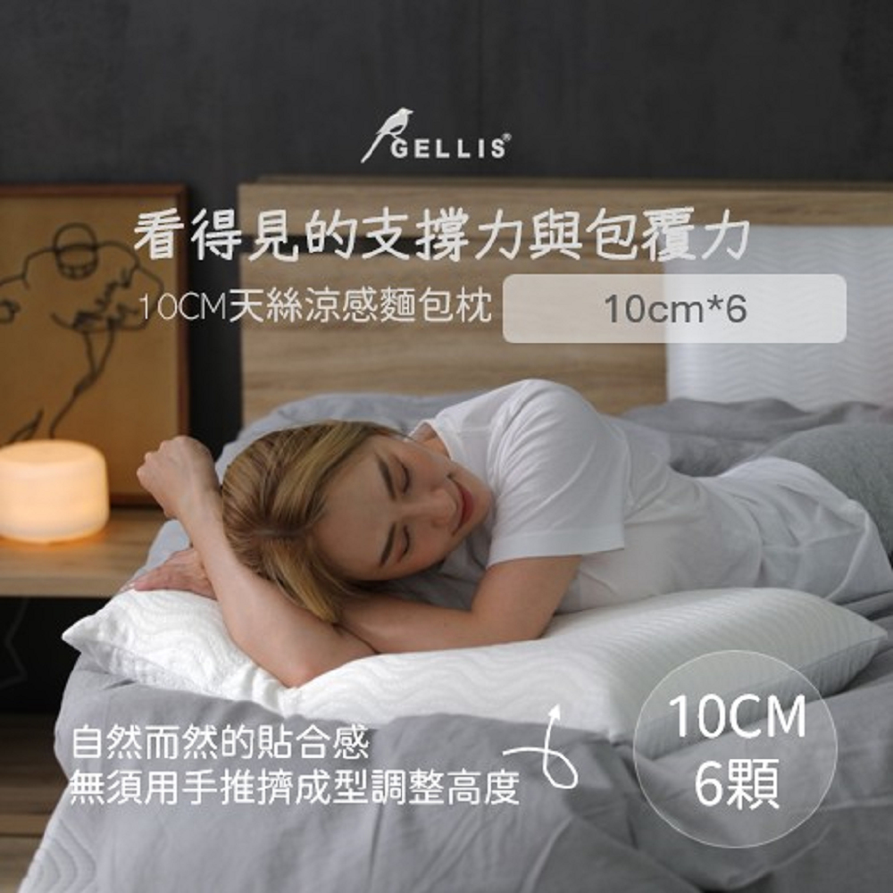 GELLIS鵲利仕防蟎抗菌涼感10CM 6入團購組記憶枕GMP-101