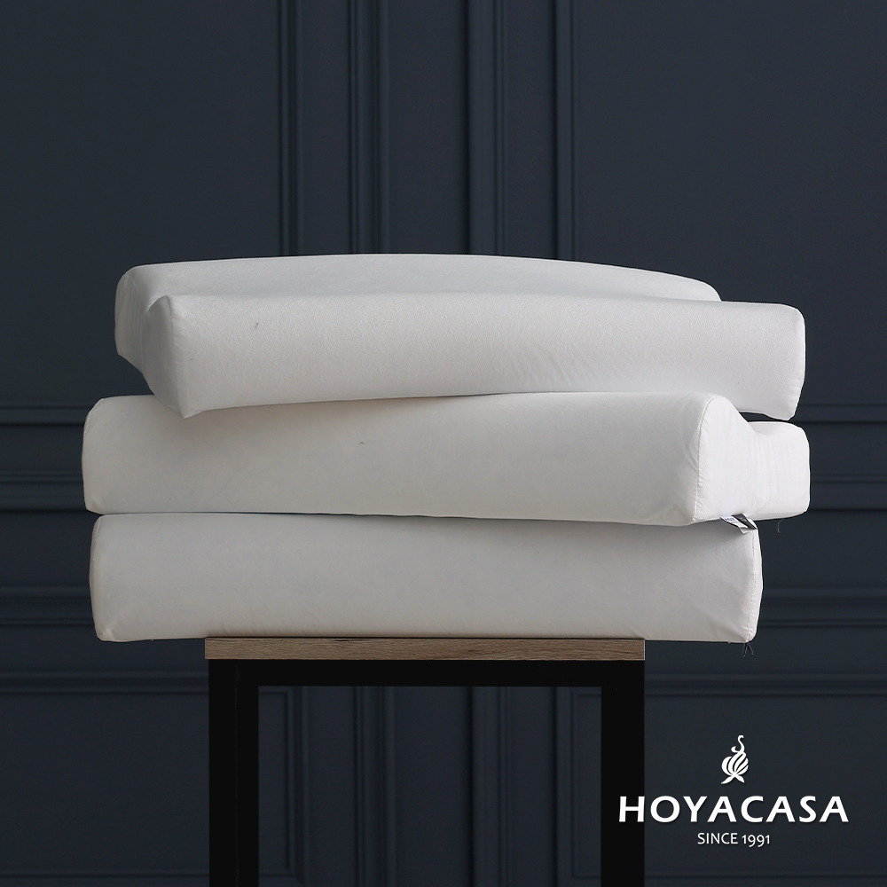 HOYACASA 德國淨眠物理防蟎太空記憶枕(2入)