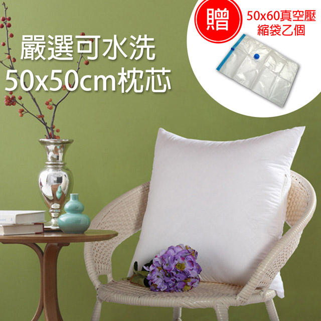樂居家 日本美學嚴選頂級50x50cm可水洗抗菌純白舒柔抱枕心 50*50cm枕芯-加贈真空壓縮袋乙個