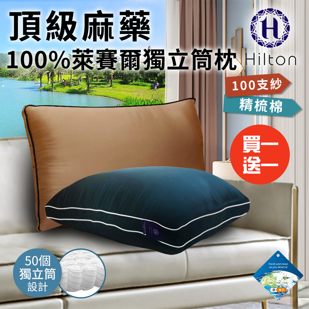 【Hilton希爾頓】頂級麻藥銀離子100%天絲60支紗獨立筒枕/枕頭 兩入組 (B0119)