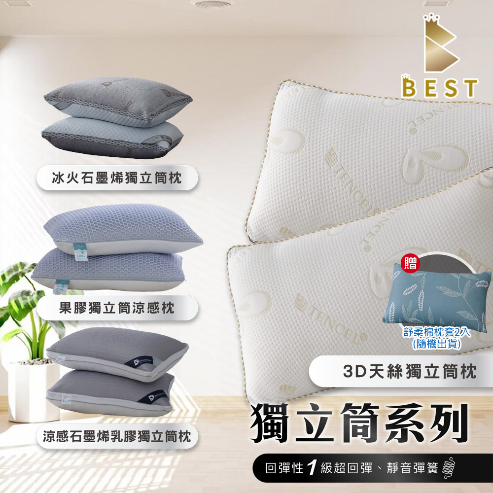 【BEST 貝思特】多款機能獨立筒枕2入 多款任選 台灣製造