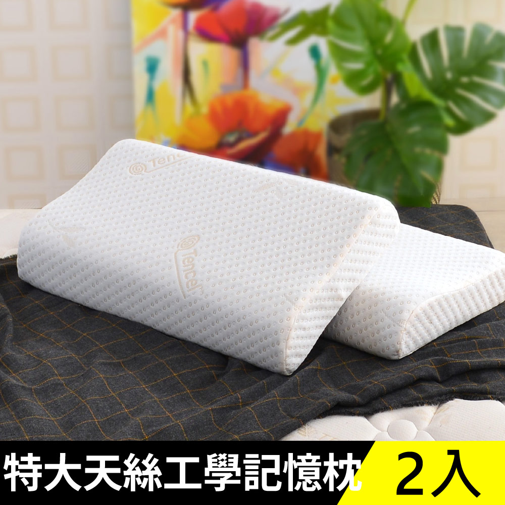 LooCa天絲纖維舒眠超透氣記憶枕2入-特大型