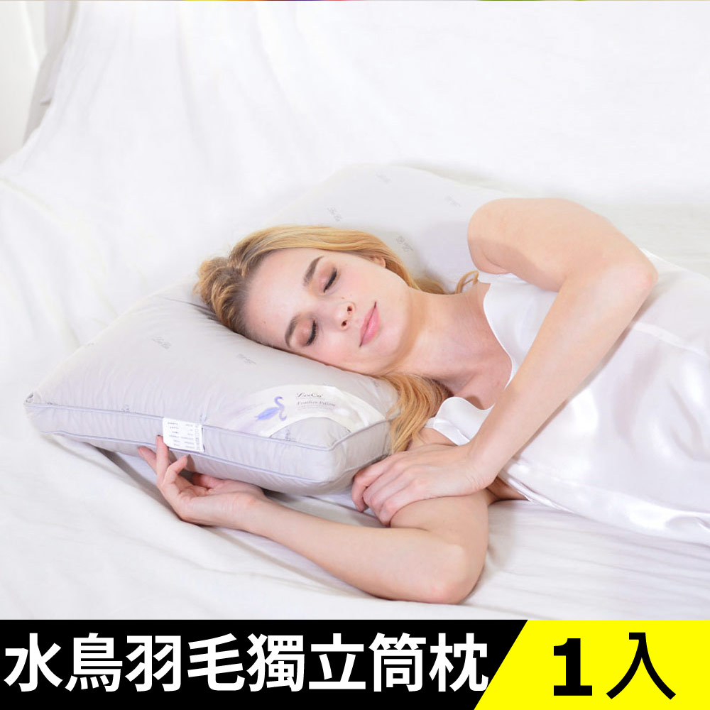 LooCa極眠羽絨獨立筒枕1入