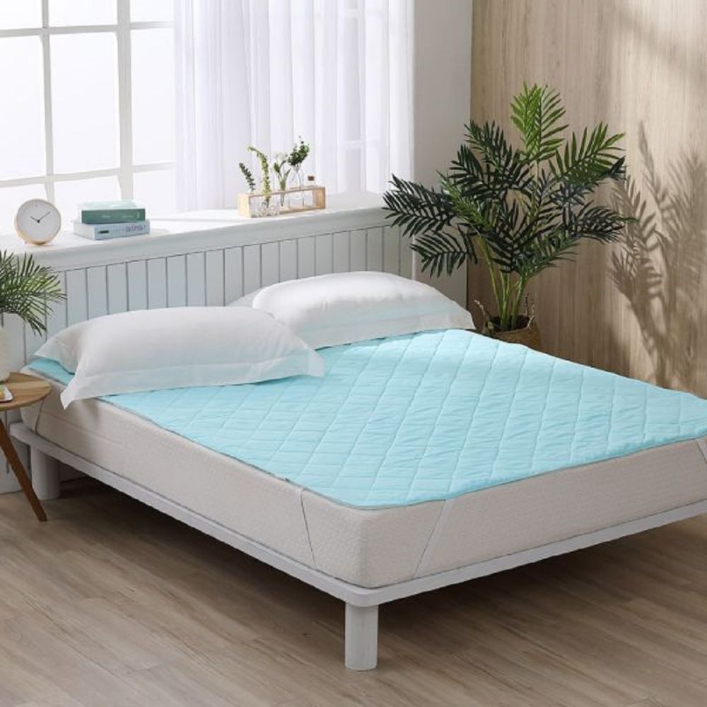 LAMINA天絲天使絨冬夏保潔墊-加大(混款)