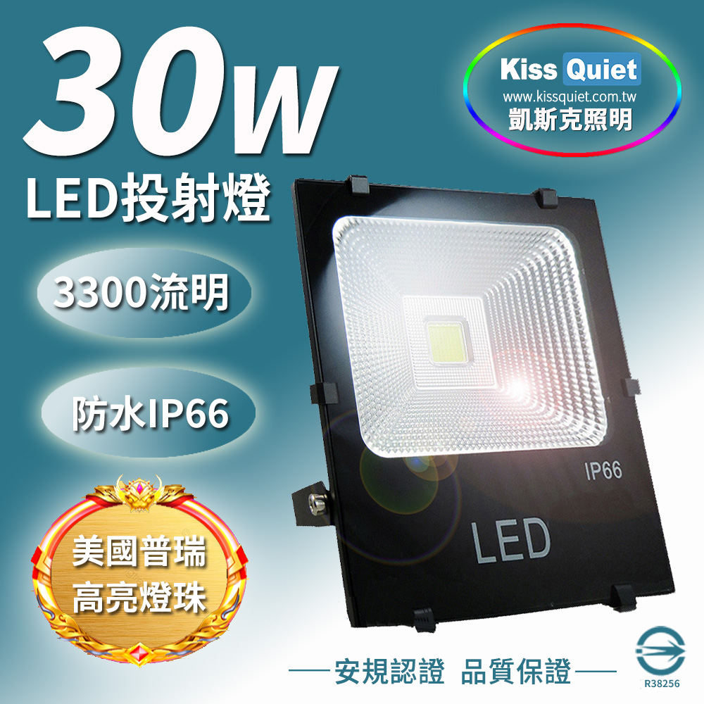 《Kiss Quiet》 質感黑(白光/黃光)30W LED投射燈全電壓探照燈-1入