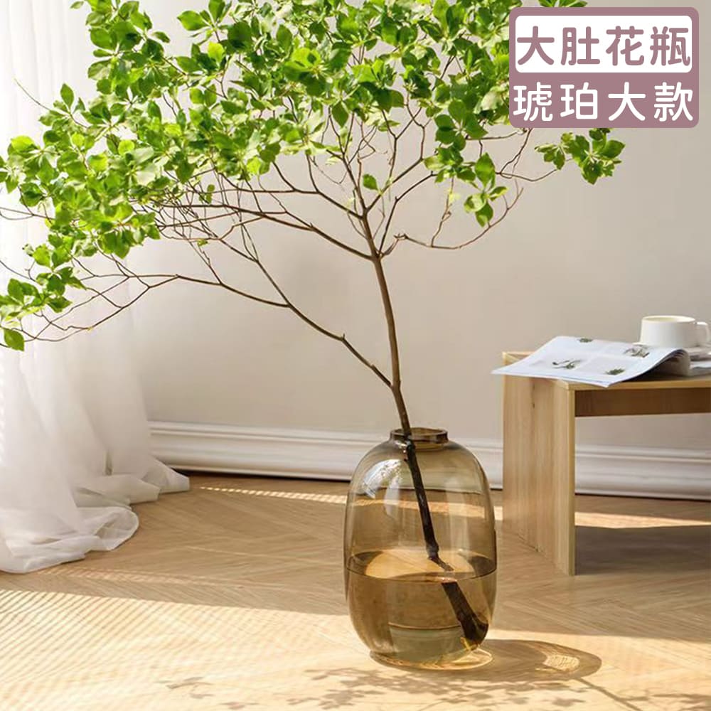 【好拾選物】輕奢簡約大肚玻璃花瓶-大款