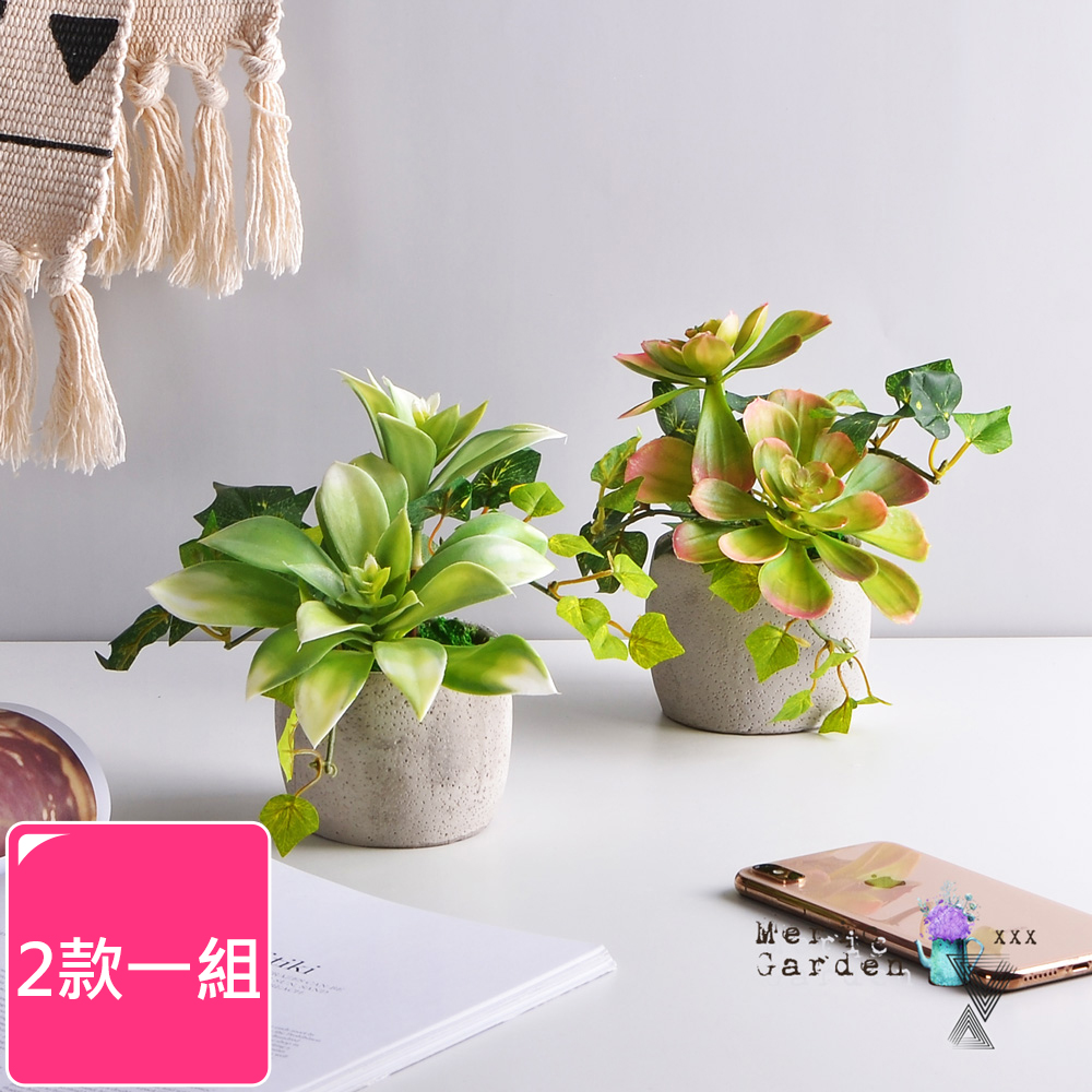 【Meric Garden】高模擬多肉植物療癒手工水泥小盆栽 2款一組(白佛甲+石蓮)