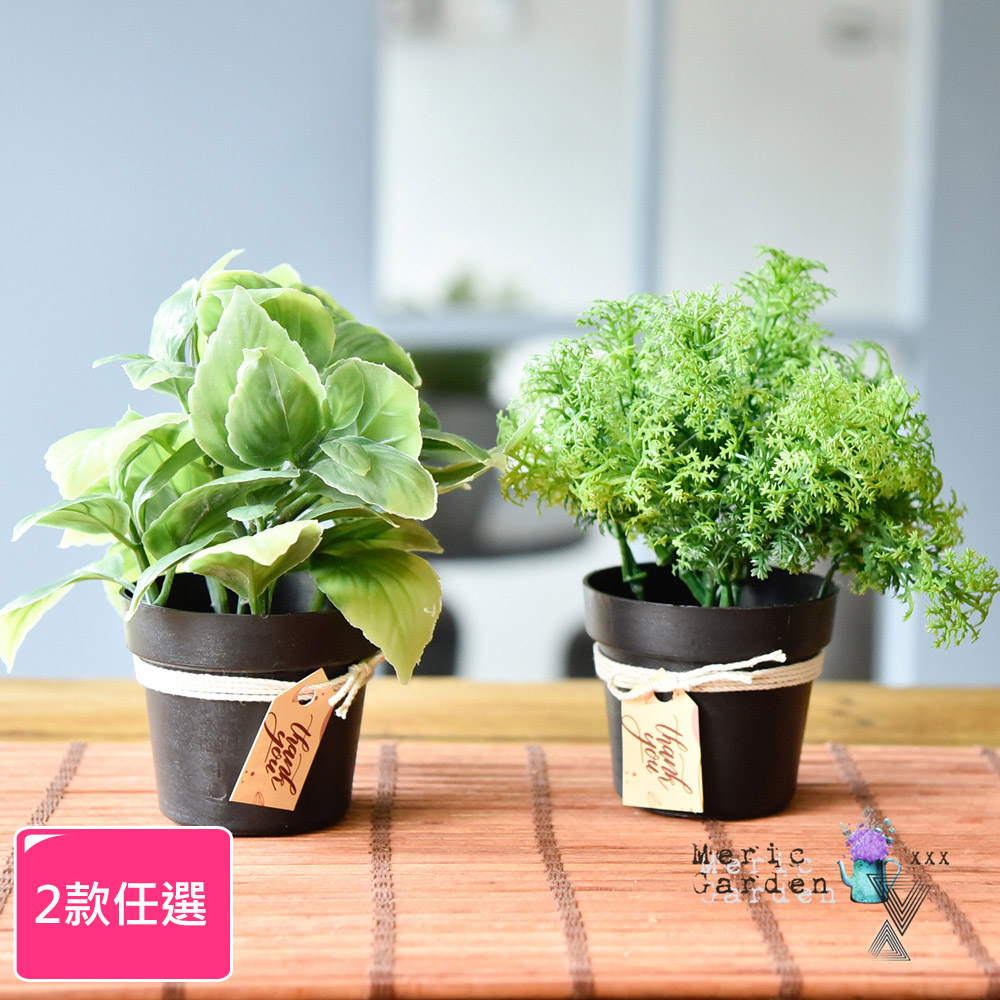 【Meric Garden】創意北歐仿真療癒小綠植盆栽/桌面裝飾擺設_2款任選