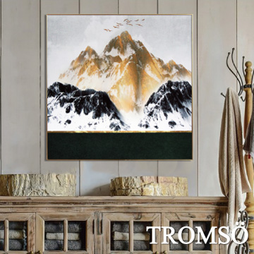 TROMSO北歐抽象板畫有框畫-金碧雄峰WA111