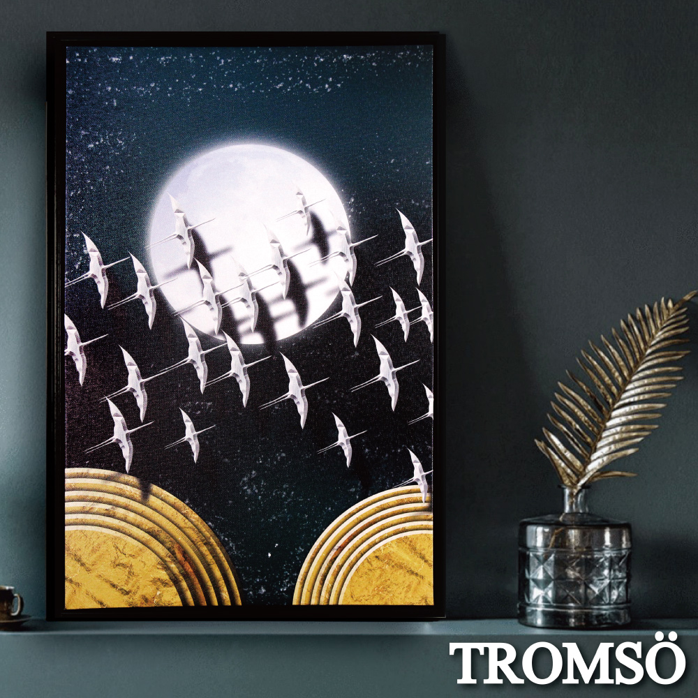 TROMSO北歐時代風尚有框畫-星辰圓月WA182