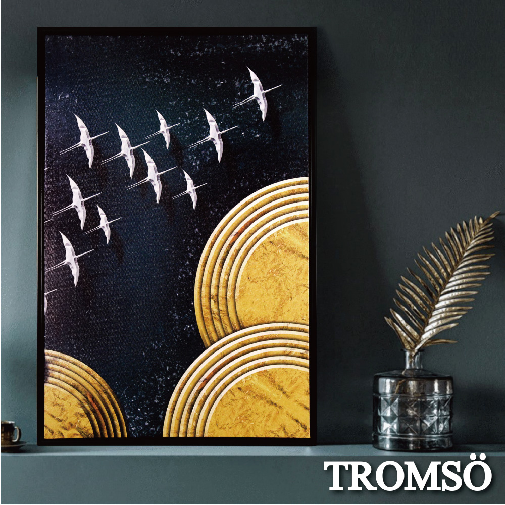TROMSO北歐時代風尚有框畫-星辰繡鳥WA183