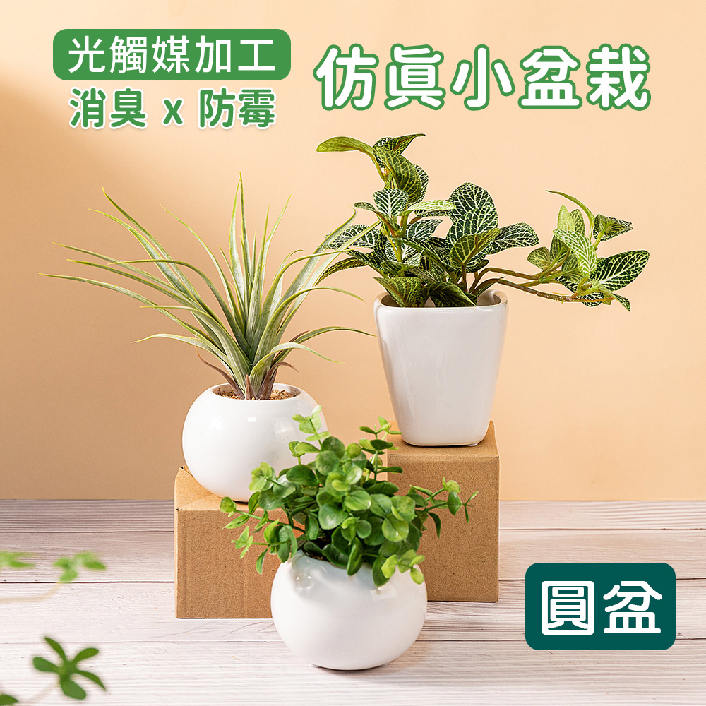 【日本Kijapan】光觸媒消臭模擬人造植物盆栽 圓盆