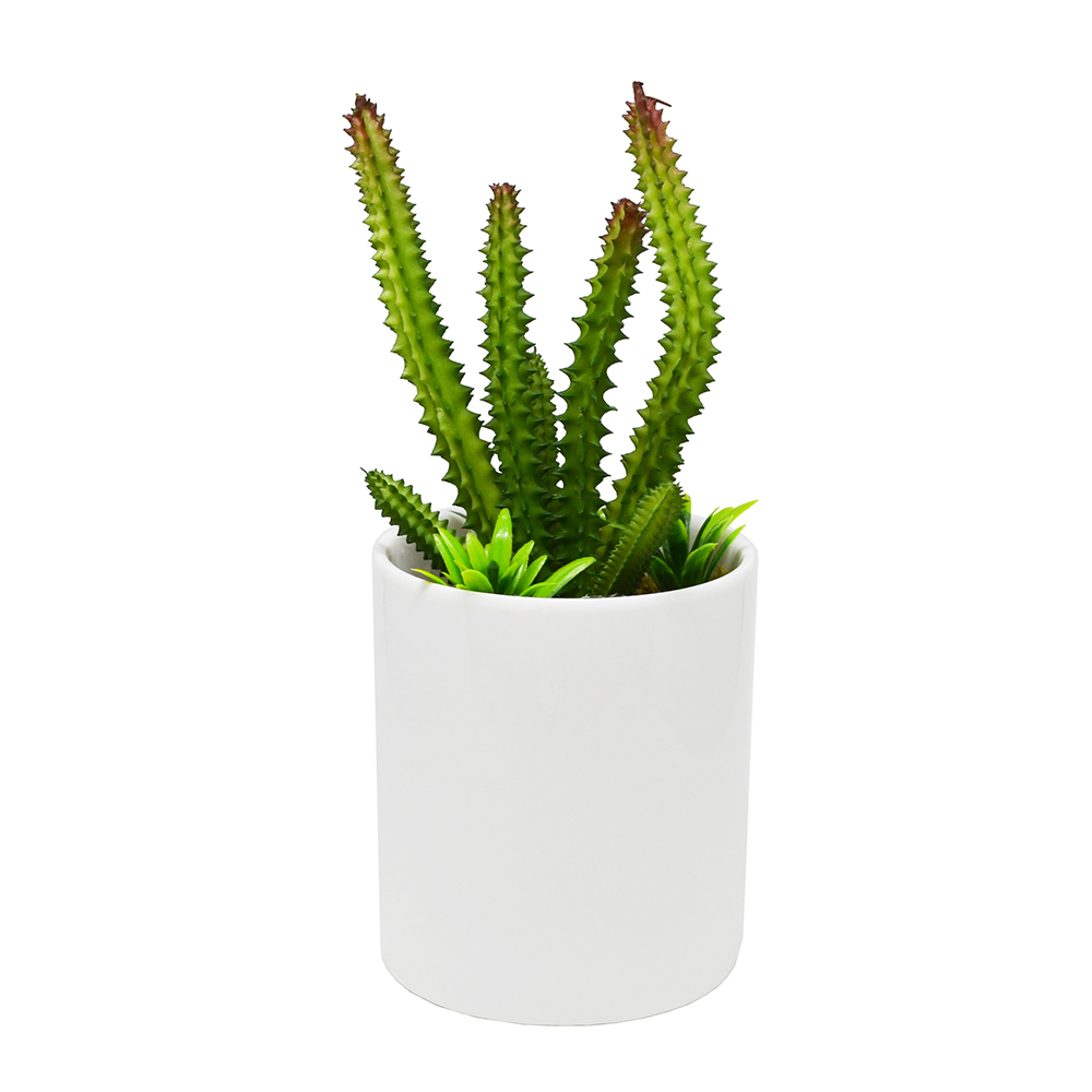【YU Living迷你模擬仙人掌植物裝飾盆栽二件組(綠色)