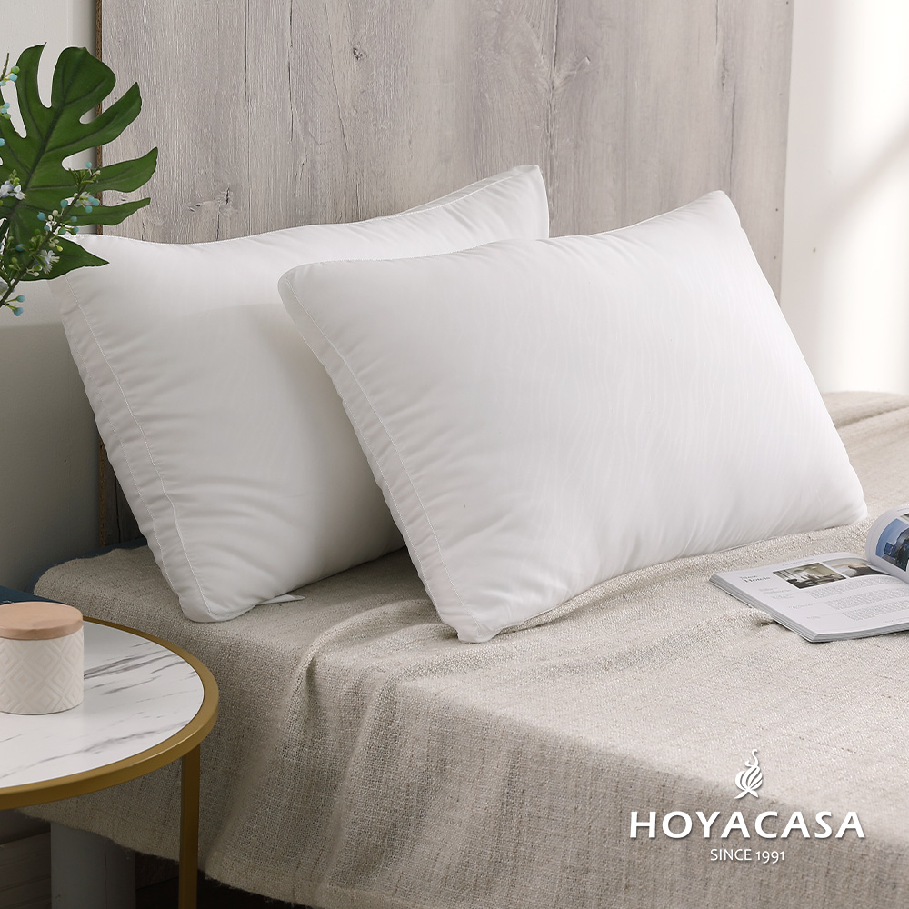 HOYACASA 羽絲絨纖維枕(二入)