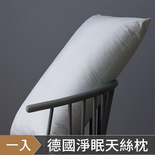 HOYACASA德國淨眠物理防蟎天絲枕-多款任選(一入組)