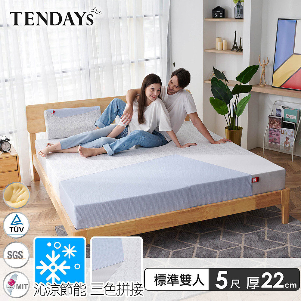 【TENDAYS】包浩斯紓壓床墊5尺標準雙人(22cm厚記憶床)