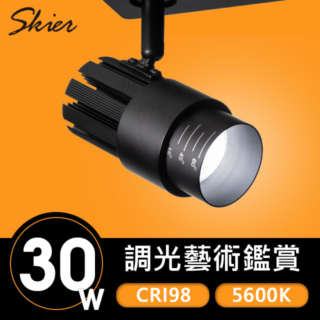 Skier 30W/5600K 調光藝術鑑賞用軌道燈(黑)