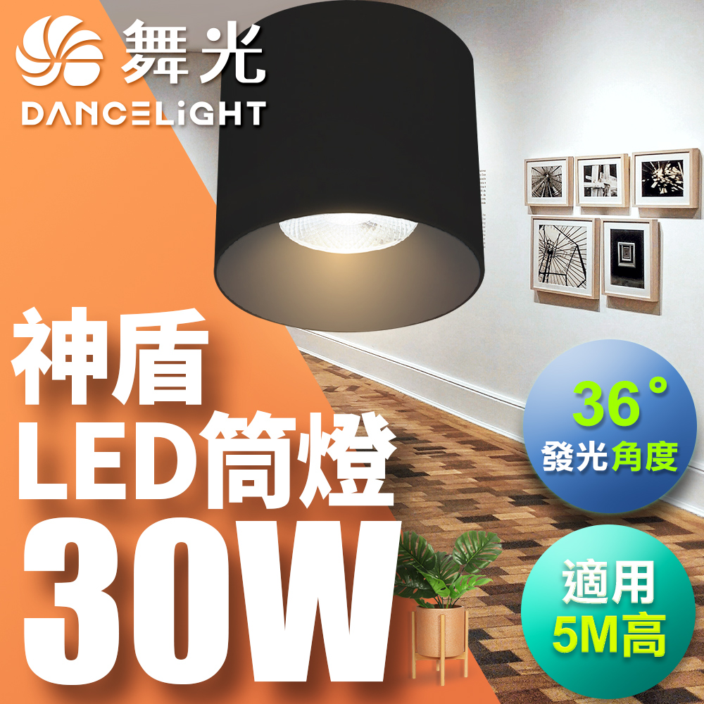 【舞光】30W 神盾筒燈 光束角36度 壓鑄鋁散熱快 全電壓 一體成形 (白殼/黑殼)