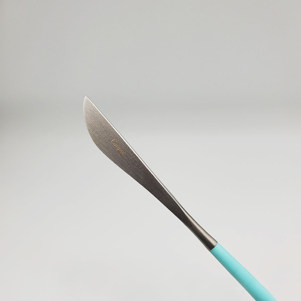 葡萄牙Cutipol-GOA系列-蒂芬妮藍柄霧面不銹鋼-21.5cm主餐刀