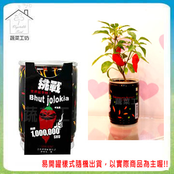 【蔬菜工坊】iPlant易開罐花卉-鬼椒