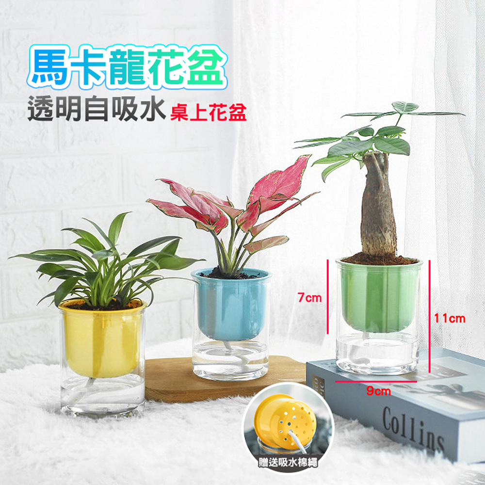 【fioJa 費歐家】馬卡龍系列 自動吸水花盆 免澆水懶人盆栽