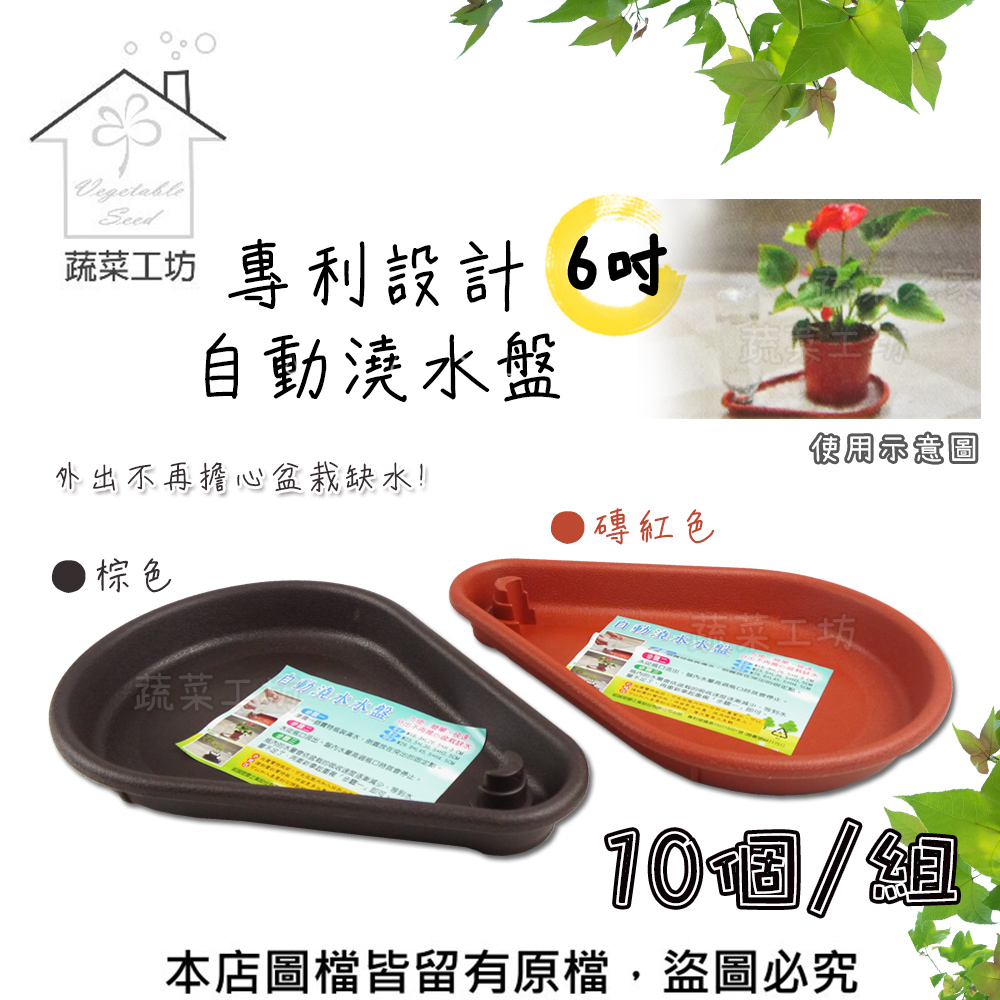 專利設計自動澆水盤6吋(磚紅色、棕色共兩色)10個/組