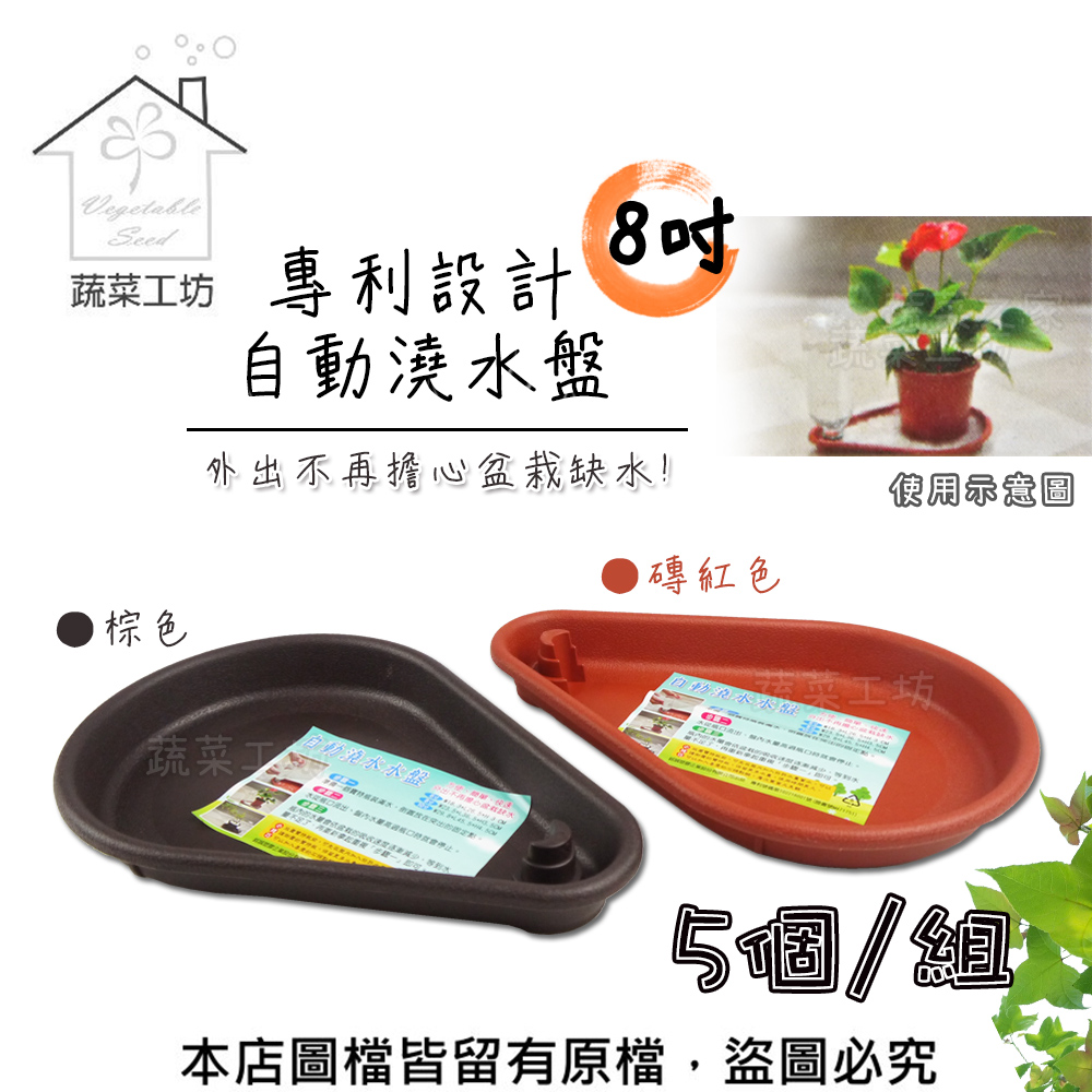 專利設計自動澆水盤8吋(磚紅色、棕色共兩色)5個/組