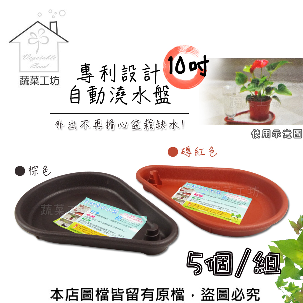 專利設計自動澆水盤10吋(磚紅色、棕色共兩色)5個/組