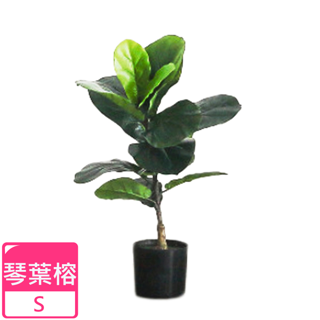 【Meric Garden】北歐風格居家裝飾高模擬大型景觀植栽擺設盆栽（琴葉榕S）