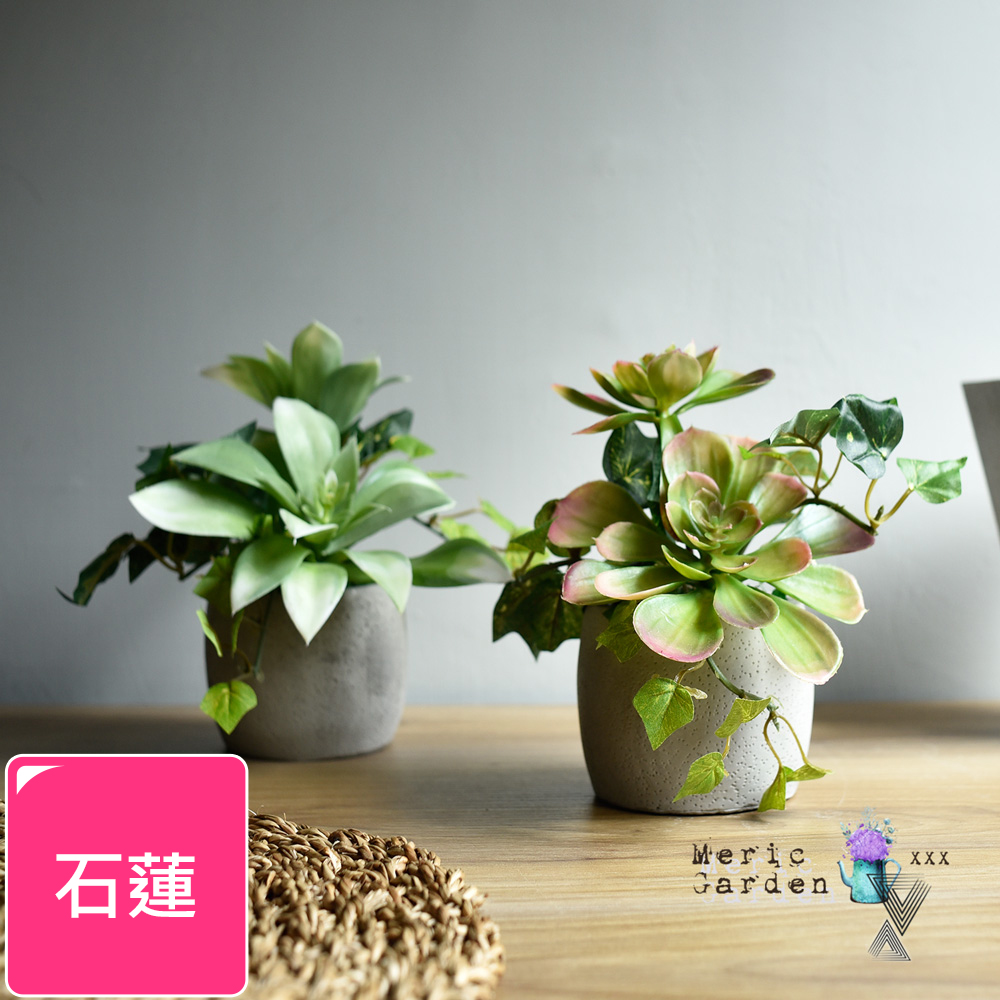 【Meric Garden】高模擬多肉植物療癒手工水泥小盆栽 石蓮