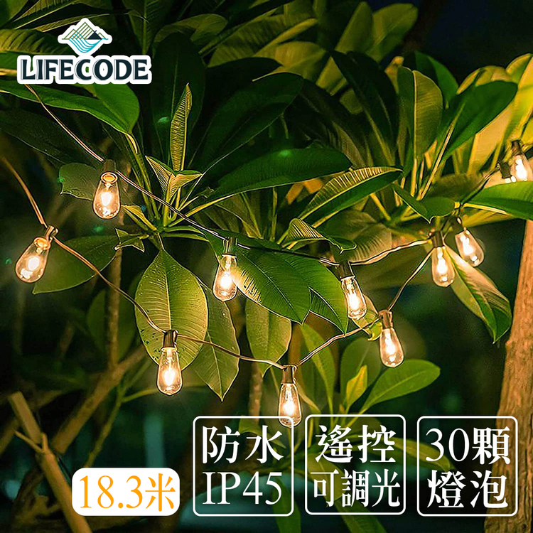 LIFECODE LED防水耐摔燈串-ST38(水滴狀)可調光可搖控(18.3米30燈)