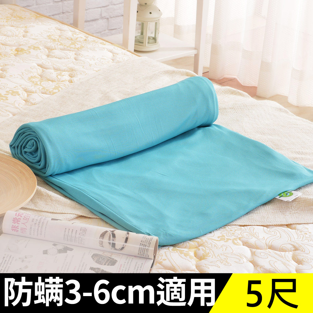 LooCa法國防蹣防蚊3-6cm薄床墊布套-雙人5尺